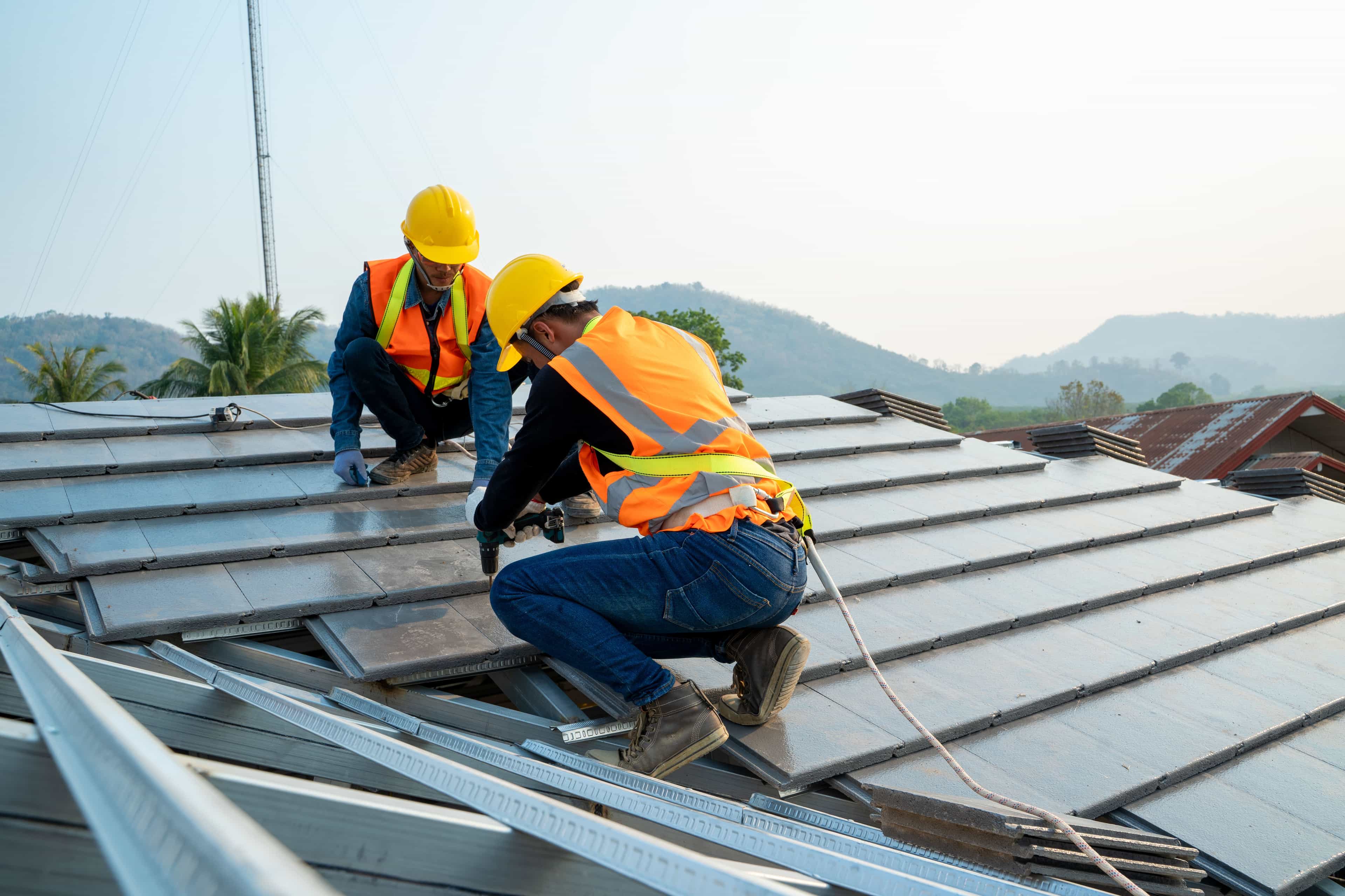 Hero image for Big Gorilla Roof 